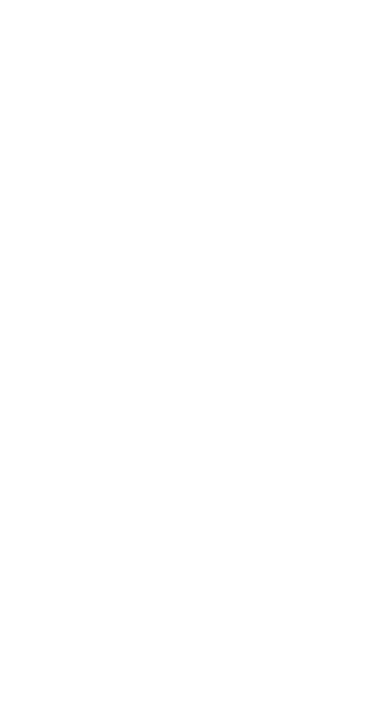 Skyline OC Logo